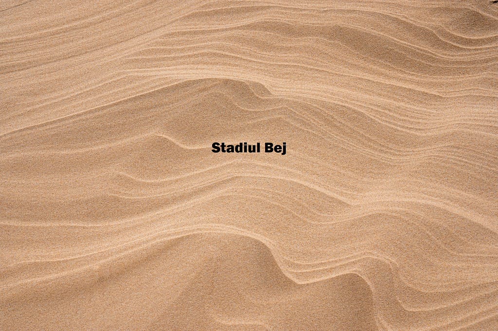 Stadiul bej