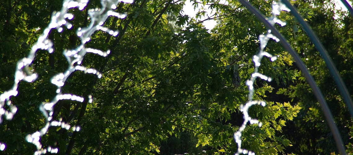 droplets
