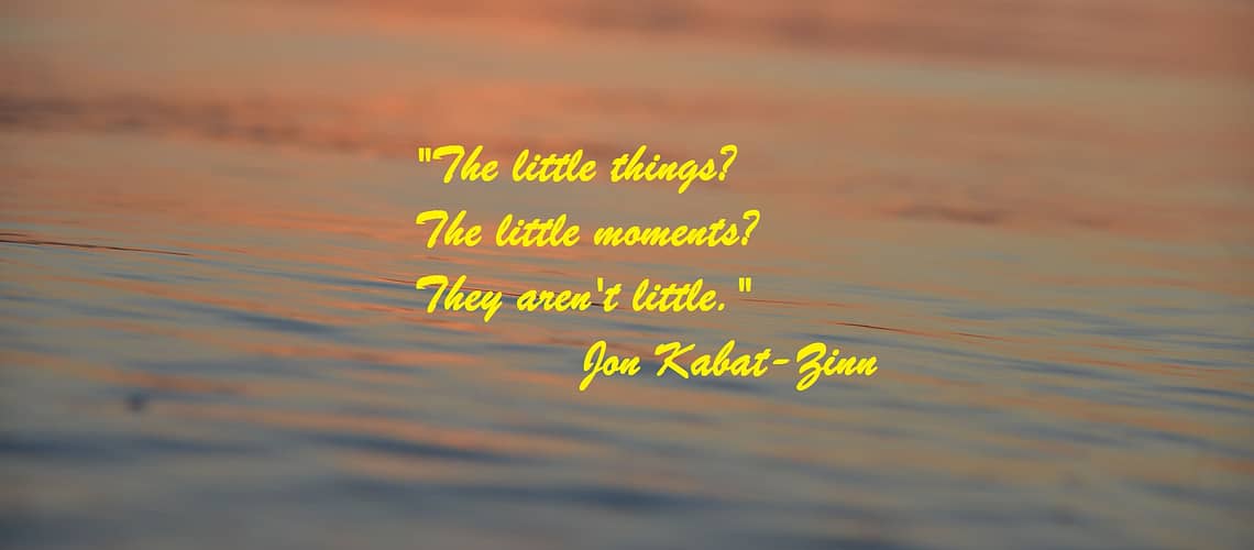 Kabat Zinn